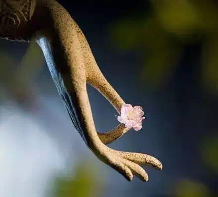 ��ͳ��ѧ֮���ɱ���������ֻ�