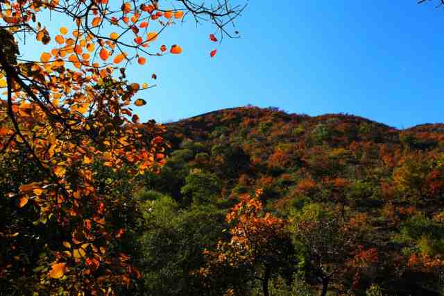 ��ͳ��ѧ֮�Ҹ����� ��������ʮ����