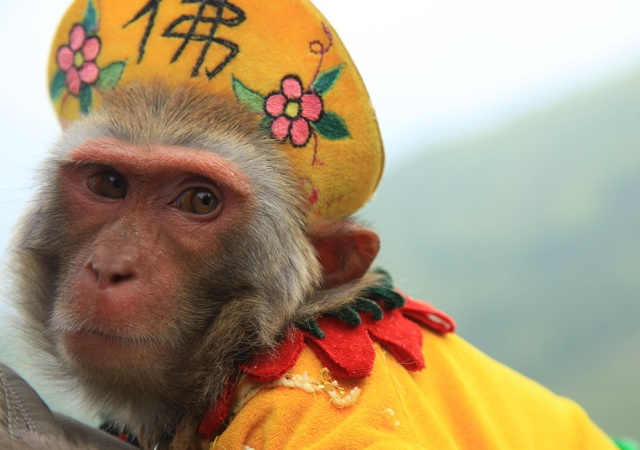 ��ˮ֮��Щ�����ʼ��ߵĹŴ�������