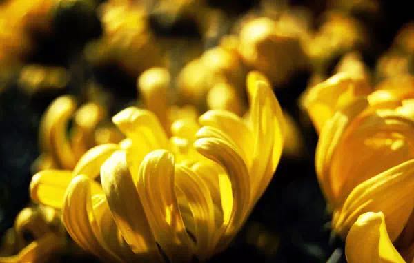 ��ͳ��ѧ֮����������