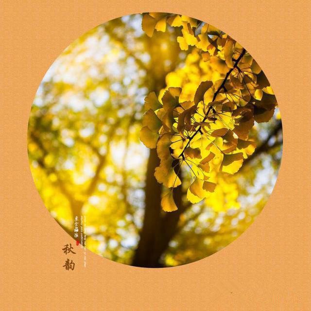 ��ͳ��ѧ֮����Ũ ������