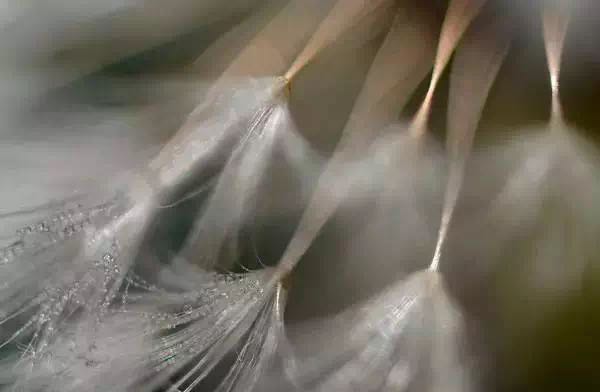 ��ͳ��ѧ֮С����������죬����˳�������