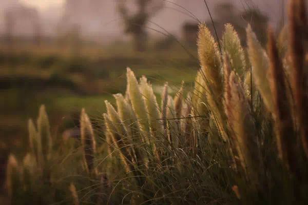 ��ͳ��ѧ֮������� Ⱦ����