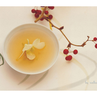 ��ͳ�Ļ�֮����