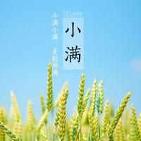 С��С����������ʲô��С����