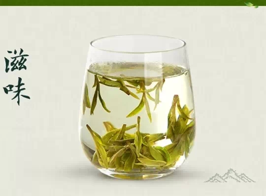 Ϊʲô���۵Ĳ����