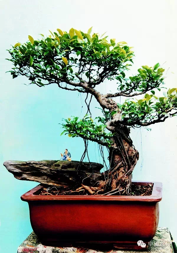 �����辰����ʷ