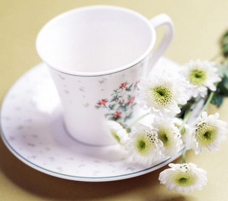 ֲ�ʻ�����ֲ����Щ�ô�