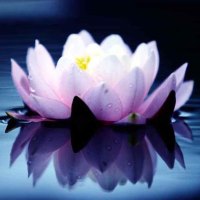 ɮ�������-�����й��Ŵ����ɵ��໥Ӱ��