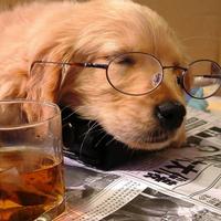 ��ˮ����֮Ϊɶ˵������������ǵ����������������������Ȥ��