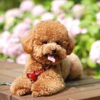 ѡ����Ȯһ��Ҫע����Щ