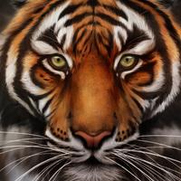 �����ˮ������������Ƶ�Ӱ��