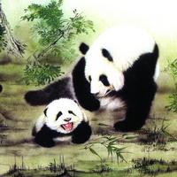 �Ŵ���������ô��������è�ģ�