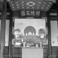 ����vs���Σ��й��Ŵ�����з��������֮��ϵ���£�