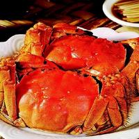 ����Ļ���з��֪������ó����ﲻ�ó���