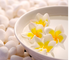 ������˥�ϵ�ʮ�����ؾ�