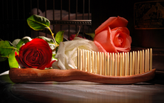 Ԥ���ѷ�������