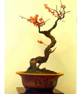 �辰��ͼ���֣�ͳһЭ������������