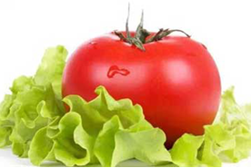 ������Խ��Խ˧��Ů��Խ��Խ����ʳ��