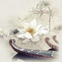 �й��Ŵ�����ʷ�ϵ����ֺ�����