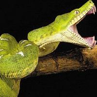 �����ŵ�������ʲô��