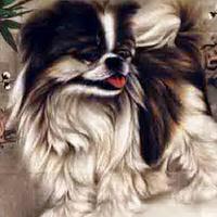 Ȥ�ţ��Ŵ��ʵ��廨���ŵĳ���