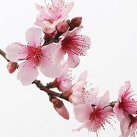 �ɱ������һỵ����ĺ���Ե�����һ��˷�ˮ