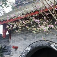 �����ŵķ�ˮ��λ