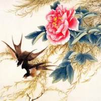 �������ȣ��������ڡ� - �����ķ��ࣨ�£�