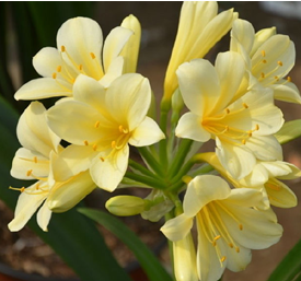 ����������������ͬ�Ļ������ĺô� 