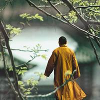 �л���ͳ֮Ϊ�ι�����Ҿ������ޣ�������ʲô�ô��أ�