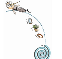 ������16������С���У���������ô������ô��