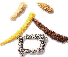 �ļ���8ʳ����ʪ���ף����ݴ���Ŷ�� 