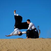 �л���ͳ֮�����˽����������ϰ������淶