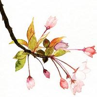 �л���ͳ��������