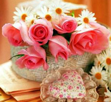 ��β廨���廨���ɣ��廨�Ĺ�ͼ����