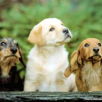 10��������������붯���Ӱ���㶼����ô