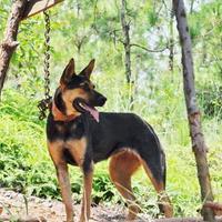 �й�������ѱ������ʲô���