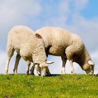 �����򡪡��������붯���һ�����ط羰