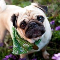 Ϊɶ˵������������ǵ�����������