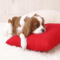 ����������Ҫע��ļҾӷ�ˮ