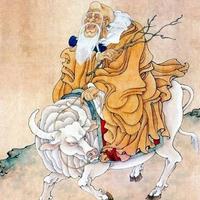 ������������̰˴���ע�⼰�÷�