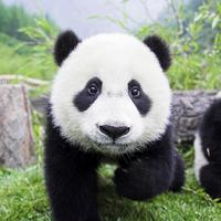 �й�ʮ����ϧ����ٲ���������Ŀ������ˣ��ϣ�