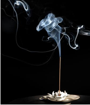 Ů����֪�������֮��