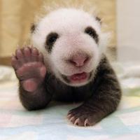 �й�ʮ����ϧ����ٲ���������Ŀ������ˣ��£�