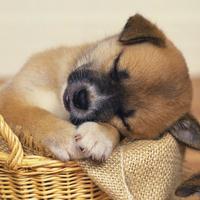 ���쵽�ˣ���������Ȯ��ע��Щʲô��