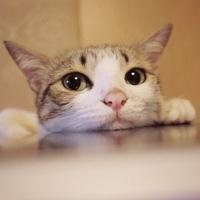 ѡ���˼������Ҳ������ˮ��