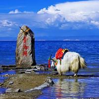 �����ຣ �ߺ����ϵ���������