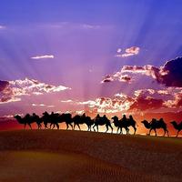 �½���������©���˼�����һ������