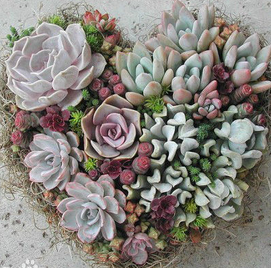 ��ƪ���£��׸���Щ�ѻ���������....